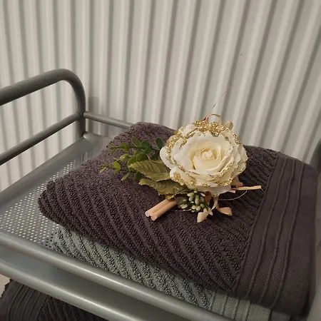 Escapade Cosy Dans T2 Lumineux, Proche Colmar