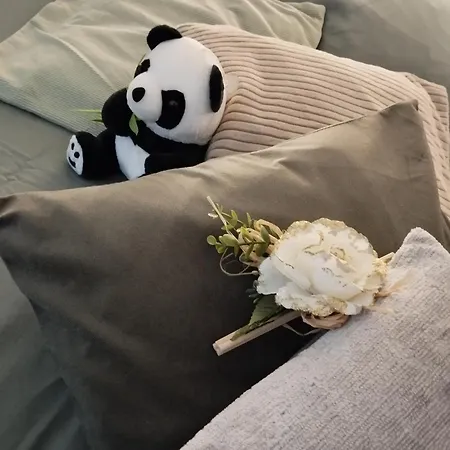 Escapade Cosy Dans T2 Lumineux, Proche Colmar Apartamento